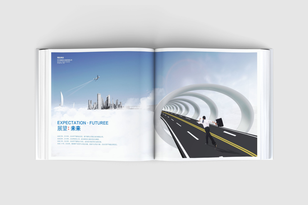 颍东区画册设计
